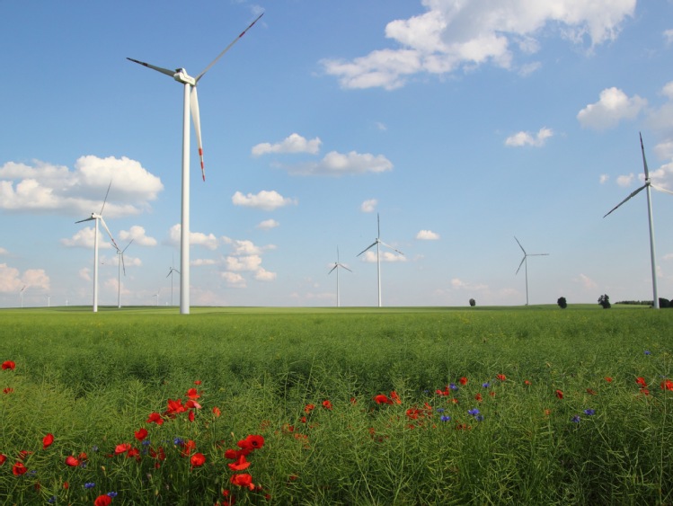 Czy mamy szansę na samowystarczalność energetyczną wsi?